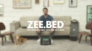 ZeeBed  The Worlds first dog bed in a box [upl. by Anyotal]