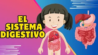 El sistema digestivo  Función y componentes Video educativo para niños [upl. by Chic292]