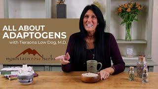 All About Adaptogens with Dr Tieraona Low Dog [upl. by Dielle]