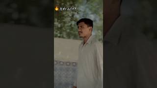 Lashari Baloch  ZubairKhanZk  zubairzk110 lashari viralvideo videoshort [upl. by Samantha]