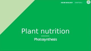 Plant Nutrition  IGCSE Biology  Topic Explainer  ZNotes [upl. by Hughmanick]