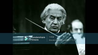 High QualityAnton BrucknerSymphony No8Sergiu Celibidache amp Münchner Philharmoniker LISBON LIVE [upl. by Breana]