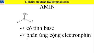 Anhidrit  amin [upl. by Eiddet]