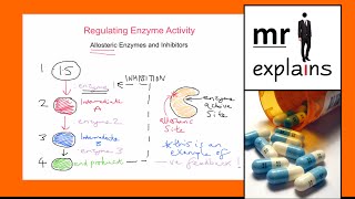 mr i explains Regulating Enzyme Activity via Inhibitors  Allosteric Enzymes [upl. by Boeke231]