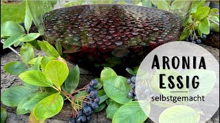 Aronia Essig aus Aroniabeeren selbst machen ganz einfach [upl. by Enileve]