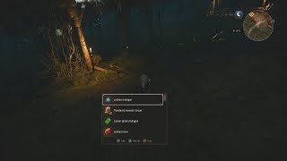 The Witcher 3 Leshen Mutagen Location [upl. by Mungo344]