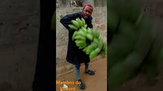 Kangamba a Judá o músico das mulheres [upl. by Sheelagh]