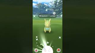 Shiny Kecleon pokemon go shorts pokemongo [upl. by Giarc961]