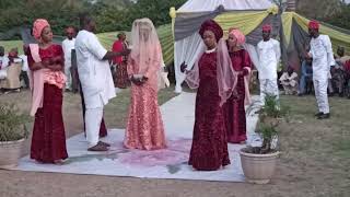 Bridesmaids dance at a Hausa wedding reception  Pelu Awofeso On The Road [upl. by Rebmyk429]