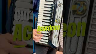 🎹 Te asteptam la cursul de acordeon🤗 [upl. by Neeham539]