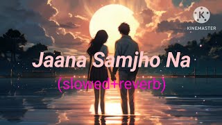 Bhool Bhulaiyaa 3 Jana Samjho Na  love song lofi musicclowedreverb gyg lofi music [upl. by Farron136]