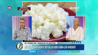 Conozca los beneficios del Yogur de Pajaritos [upl. by Lamrert]