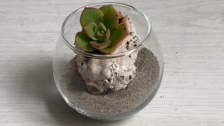 A Simple Terrarium’s Idea [upl. by Darleen152]