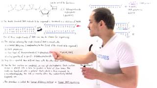 Sanger Sequencing of DNA [upl. by Bik]