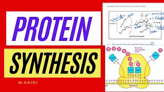 Copy o PROTIEN SYNTHESIS EXPLAINED DNA CODE OF LIFE GRADE 12 LIFE SCIENCES  MSAIDI THUNDEREDUC [upl. by Kenyon979]