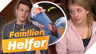 EIFERSUCHT 😤 Bringt Sven seine Schwester absichtlich in Gefahr  Die Familienhelfer  SAT1 [upl. by Leoni]