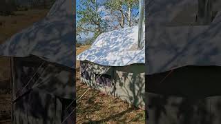 Tarped Kodiak Cabin Tent In High Winds [upl. by Ardnahs536]