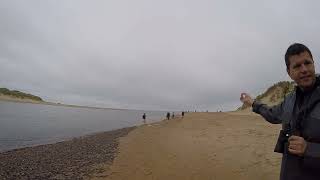 Newburgh beach 21092024 seals foki [upl. by Eamon]