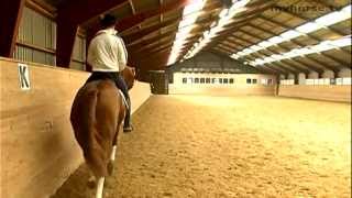 Dressage Exercise  Shoulder in [upl. by Anairda]