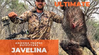 ULTIMATE JAVELINA HUNTING  2020  ARIZONA OPPORTUNITY HUNT  ATO 9 [upl. by Sophronia]