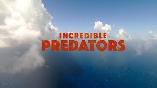 Incredible Predators Trailer [upl. by Adnirim613]