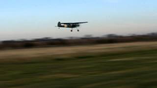 Durafly Fieseler Fi 156 Storch [upl. by Eisso]