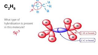 Sigma and Pi Bonds  An Introduction [upl. by Inait]