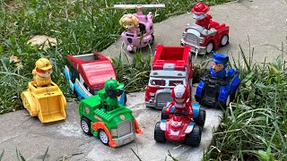 Looking PAW Patrol  PAW Patrol Toys  Everest Zuma Skye Marshall Rubble Chase  Video for kids [upl. by Nolyak]