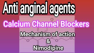 Calcium channel blockers  Mechanism of action  III B Pharm V Sem  Unit 2  III Pharm D [upl. by Petta128]