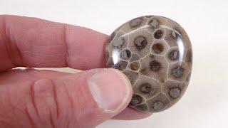 How to Partially Tumble Petoskey Stones [upl. by Schwinn]