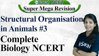 Structural Organisation in Animals Class 11 NEET NCERT Line by Line  Cockroach eSaralNEETSMR [upl. by Sheff]