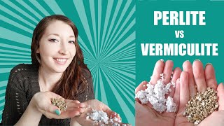 PERLITE VS VERMICULITE  What Is the Difference Between Perlite and Vermiculite and How Do We Use It [upl. by Eihtak]