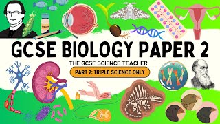 ALL of GCSE Biology Paper 2 Part 2  Triple Science only topics [upl. by Blanc]