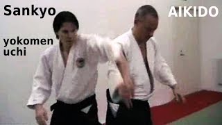 Aikido  SANKYO  on yokomen uchi striking attack by Stefan Stenudd in 2007 [upl. by Shimberg970]