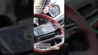 Tata Curvv ✅ Premium interior ✅ Top Model Look ✅ 360°Camera tatacurvv tata tatamotors curvvev [upl. by Asseralc]