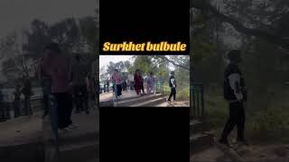 SurkhetBulbule shortvideo [upl. by Hoy45]