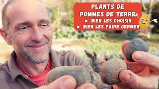 Bien choisir et bien faire germer ses plants de pommes de terre [upl. by Retloc284]