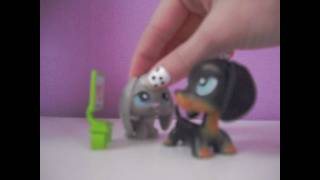 LPS Pop Princess Episode 8 [upl. by Onaireves]