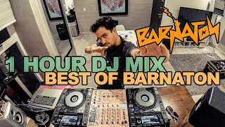 Best Of Barnaton 1 Hour Dj Mix by Mr Pig [upl. by Ellatsirhc]