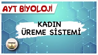 AYT Biyoloji  Kadın Üreme Sistemi sayfa116 [upl. by Terence]