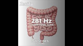 281 Hz Pure Tone  Intestines Healing [upl. by Choong890]