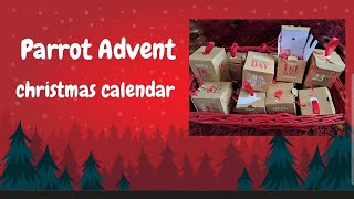 parrot advent calendar for christmas [upl. by Timotheus]