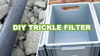 DIY simple to make Trickle Filter [upl. by Toby]