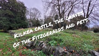 Kilkea Castle graveyard and pet cemetery [upl. by Melonie]