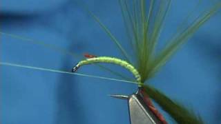 Tying the McPhail Marabou Bug by Davie McPhail [upl. by Colt939]