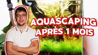 Mon AQUASCAPE 30L après 1 mois [upl. by Sadnac533]