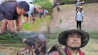 Beautiful life of farmers in Nagaland [upl. by Ainival]