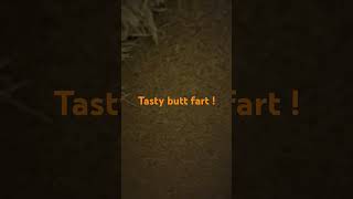 Fart no 676  Tasty Butt Fart [upl. by Norrabal]