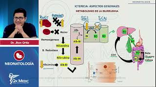 NEONATOLOGÍA  ICTERICIA NEONATAL  2024 QX MEDIC [upl. by Orabelle]