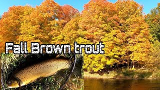 October Fall Brown trout fishing fishingvideo [upl. by Giselbert653]